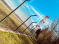 /album/trend/152-approaching-the-airport-jpg/